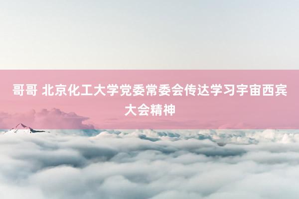 哥哥 北京化工大学党委常委会传达学习宇宙西宾大会精神