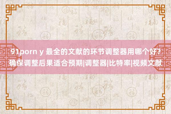 91porn y 最全的文献的环节调整器用哪个好？确保调整后果适合预期|调整器|比特率|视频文献
