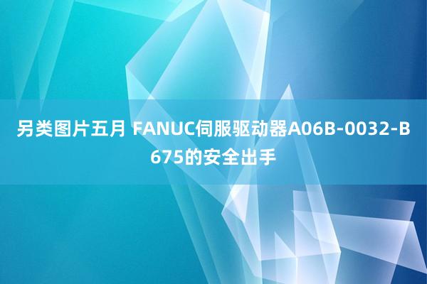 另类图片五月 FANUC伺服驱动器A06B-0032-B675的安全出手