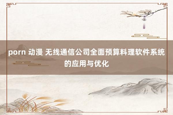 porn 动漫 无线通信公司全面预算料理软件系统的应用与优化