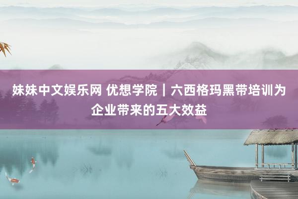 妹妹中文娱乐网 优想学院｜六西格玛黑带培训为企业带来的五大效益