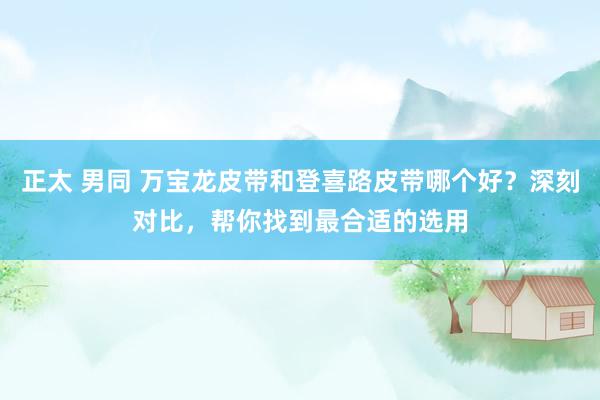 正太 男同 万宝龙皮带和登喜路皮带哪个好？深刻对比，帮你找到最合适的选用