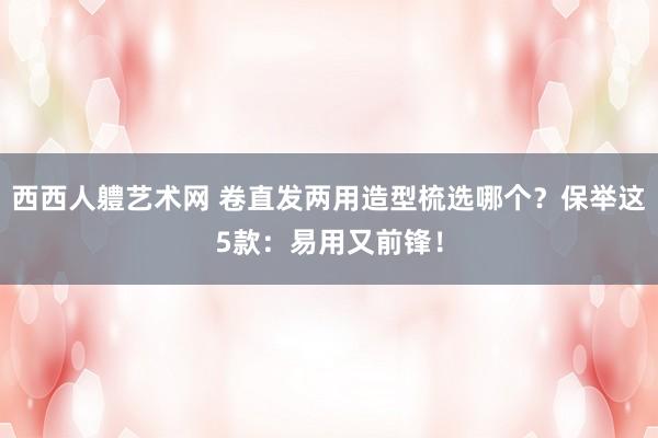 西西人軆艺术网 卷直发两用造型梳选哪个？保举这5款：易用又前锋！