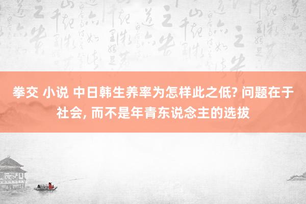 拳交 小说 中日韩生养率为怎样此之低? 问题在于社会, 而不是年青东说念主的选拔