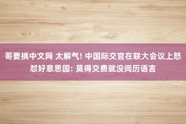 哥要搞中文网 太解气! 中国际交官在联大会议上怒怼好意思国: 莫得交费就没阅历语言