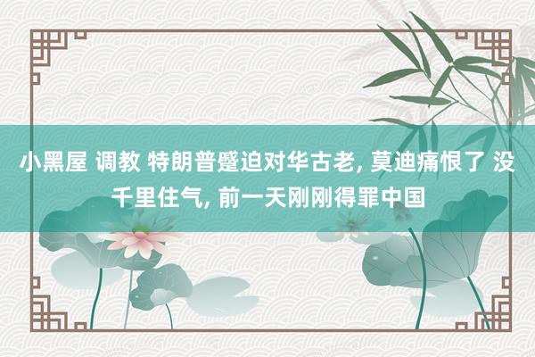 小黑屋 调教 特朗普蹙迫对华古老, 莫迪痛恨了 没千里住气, 前一天刚刚得罪中国