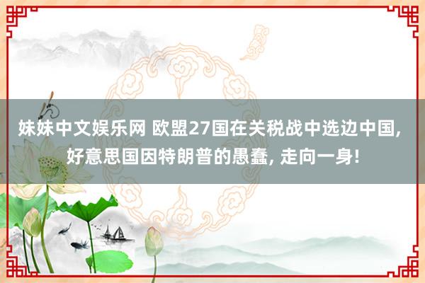妹妹中文娱乐网 欧盟27国在关税战中选边中国, 好意思国因特朗普的愚蠢, 走向一身!