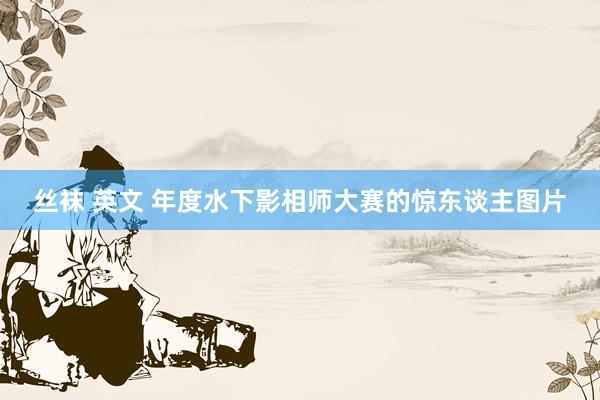 丝袜 英文 年度水下影相师大赛的惊东谈主图片