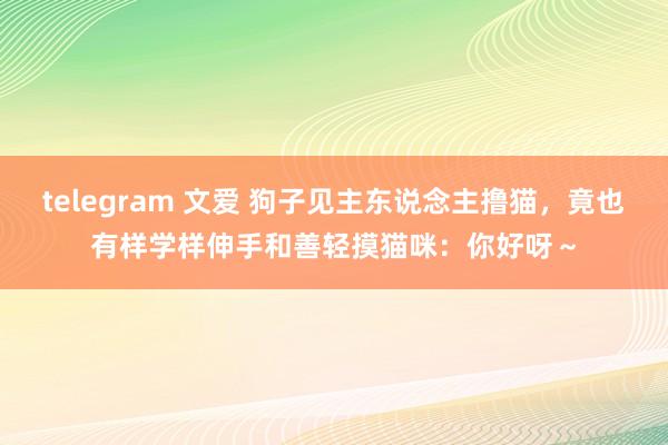 telegram 文爱 狗子见主东说念主撸猫，竟也有样学样伸手和善轻摸猫咪：你好呀～