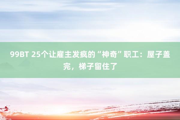 99BT 25个让雇主发疯的“神奇”职工：屋子盖完，梯子留住了
