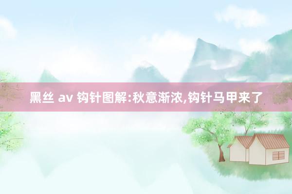黑丝 av 钩针图解:秋意渐浓,钩针马甲来了