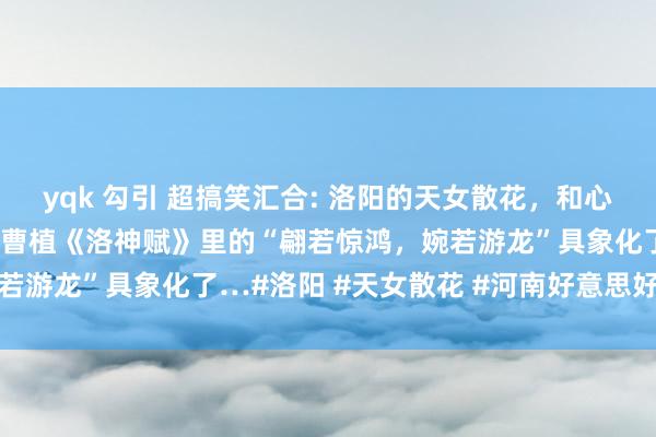 yqk 勾引 超搞笑汇合: 洛阳的天女散花，和心目中的小青娥一模相似。曹植《洛神赋》里的“翩若惊鸿，婉若游龙”具象化了…#洛阳 #天女散花 #河南好意思好保举官