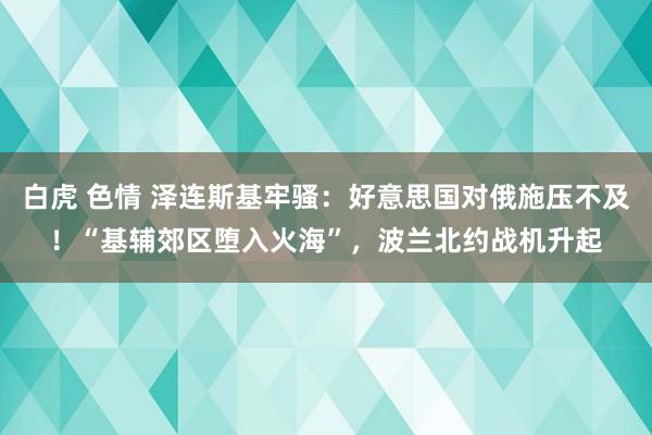 白虎 色情 泽连斯基牢骚：好意思国对俄施压不及！“基辅郊区堕入火海”，波兰北约战机升起